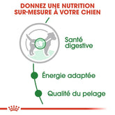 Royal Canin Aliment Humide Chien Mini Adult en sauce 85G